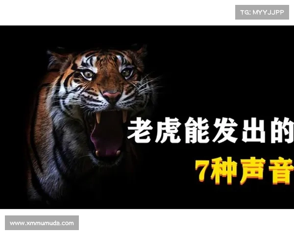 虎啸中原攻略-虎啸山林任务攻略:虎啸中原:中原逐鹿,制霸三国 虎啸中原攻略-虎啸山林任务攻略:虎啸中原:中原逐鹿,制霸三国